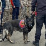 Kastamonu'da 4 Gün Dört Gün Haber Alınamayan Huriye ve Oğlu İçin Arama Çalışmaları Devam Ediyor 8 kastamonuda kayip anne ve oglunu arama calismalari 4uncu gunde 614f52f8cc6e
