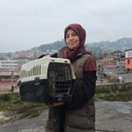 Kaybolan Kedinin Pansuma Erken Dönüşü: Mermili Patisi Ameliyatla Kurtarıldı 2 kayip kedi patisinde mermiyle geri dondu 0c743104a8aa