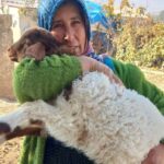 Havalimanına Giden Araç Kamyona Çarptı: Üç Kişi Hayatını Kaybetti 1 kazada annesi ve yengesiyle birlikte olen surucu umreden donen esini karsilamaya gidiyormus da5c01633d53