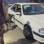 Erzurum’da Narkotik Köpeği ile Yapılan Operasyonda 8 Kilo Metamfetamin Ele Geçirildi, 2 Tutuklama Gerçekleşti 1 koltugun icine gizlenmis 85 kilo metamfetamini magnum buldu video eklendi 28037dac7ad3