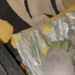 Erzurum’da Narkotik Köpeği ile Yapılan Operasyonda 8 Kilo Metamfetamin Ele Geçirildi, 2 Tutuklama Gerçekleşti 2 koltugun icine gizlenmis 85 kilo metamfetamini magnum buldu video eklendi 980100e26fbb