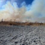 Kulu'daki Gök Gölü'nde Yangın, İtfaiye Ekipleri Mücadele Ediyor 5 konya gok golundeki sazlik bolgedeki yangin 2nci gununde devam ediyor 338d491db7c5