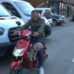 Gümüşhane'de Güvenlik Görevlisi, Poodle Köpeğiyle Elektrikli Motosikletle Seyahat Ediyor 2 kopegini motosikletiyle gezdiriyor e310a7b4de0e