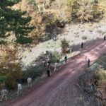 Domaniç'te Kaybolan Zihinsel Engelli Selim Ece İçin Yeniden Arama Başlatıldı 4 kutahyada 80 yasinda kaybolan zihinsel engelli 2 yil sonra yeniden arandi aab76b3987b9