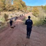 Domaniç'te Kaybolan Zihinsel Engelli Selim Ece İçin Yeniden Arama Başlatıldı 2 kutahyada 80 yasinda kaybolan zihinsel engelli 2 yil sonra yeniden arandi bb04940a5ab9