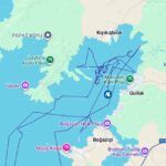 Muğla'da Tedavi Edilen Caretta Caretta 'Lansinoh', İki Yılda 2 Bin Kilometre Yol Aldı 1 lansinohun rotasini 25 bin kisi goruntuledi 04a5c6960b7d
