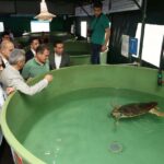 Muğla'da Tedavi Edilen Caretta Caretta 'Lansinoh', İki Yılda 2 Bin Kilometre Yol Aldı 2 lansinohun rotasini 25 bin kisi goruntuledi 7c7a420ddbed