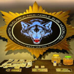 malatyada uyusturucu operasyonu 11 tutuklama e69430f9f614