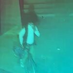 Mardin'de bir apartmandan bisiklet çalan hırsız güvenlik kamerasına yakalandı 6 mardinde bisiklet hirsizligi kamerada 75952767e640