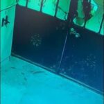 Mardin'de bir apartmandan bisiklet çalan hırsız güvenlik kamerasına yakalandı 4 mardinde bisiklet hirsizligi kamerada ae59dda8d6de