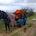 meradan izinsiz agac kesen 2 supheli gozaltina alindi e4ed5ff6c3c6