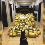 mersin ve erzurumda yuklu miktarda uyusturucu ele gecirildi 3 gozalti 40015719b164