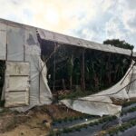 Mersin'de Hortum Felaketi: Üreticiler Seralarını Onarıyor 5 mersinde hortum ve firtina seralara zarar verdi ca5fe9b39781