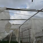 Mersin'de Hortum Felaketi: Üreticiler Seralarını Onarıyor 1 mersinde hortum ve firtina seralara zarar verdi d728395b3412