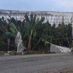 mersinde hortumlar evlere ve seralara zarar verdi 46ffa783d0ca