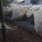 mersinde hortumlar evlere ve seralara zarar verdi 6fc4a1dd9b05