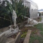 mersinde hortumlar evlere ve seralara zarar verdi ebe90f77e83a