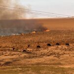 nehil sazligindaki yangina helikopterle mudahale 71f9d28c6f53