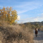 Kapadokya'nın Sonbahar Güzelliği Ziyaretçileri Büyülüyor 8 nevsehir kapadokyada sonbahar guzelligi video eklendi 6fa8da3df3f8