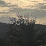 Kapadokya'nın Sonbahar Güzelliği Ziyaretçileri Büyülüyor 3 nevsehir kapadokyada sonbahar guzelligi video eklendi b46ed73dec14