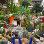 Antalya'da öğretmenler günü için çiçek satışları arttı, kır çiçekleri ve orkide ön planda! 4 ogretmenler gunu icin en cok kir cicegi tercih ediliyor 0cdd23eed84b