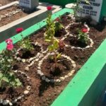 ogullarinin katilini bulmak icin olduruldugu mahalleye tasindilar 2462bf71b6f8