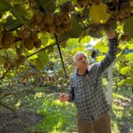 orduda kivi icin erken hasat uyarisi video eklendi d562308f3634