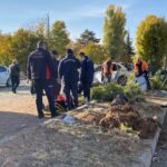 Elazığ'da feci kaza: 2'si ağır olmak üzere 6 yaralı var 2 otomobil agaca ve elektrik diregine carpti 2si agir 6 yarali 33a56a561ff8