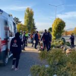 Elazığ'da feci kaza: 2'si ağır olmak üzere 6 yaralı var 4 otomobil agaca ve elektrik diregine carpti 2si agir 6 yarali b0e4b8f3782c