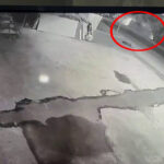 Kocaeli'de Midibüsün Devrilmesi Sonucu 1’i Ağır 8 Yaralı, Kaza Anı Kamerada Kaydedildi 1 otomobil ile carpisan midibus devrildi 1i agir 8 yarali 2 0186ce3a3981