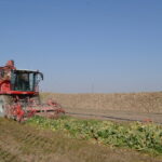 pancar ureticisi fiyattan memnun b8fdd9c6e581