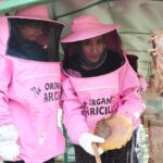 pembe maskeli arici kadinlar bal hasadinda meme kanserine dikkat cekti 776e9594f7c5