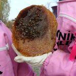 pembe maskeli arici kadinlar bal hasadinda meme kanserine dikkat cekti c38c8982996a