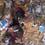 Kayseri'de Kaçak Sigara Taşıyan İki Şahıs Ele Geçirildi 2 preslenmis atik kagitlarin arasinda kacak sigara tasiyan 2 supheli yakalandi 9d2ee748a756