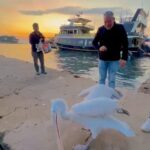 sahile cikan pelikani balikla beslediler 9dc5bd5265e1
