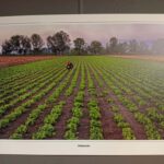 Sakarya'da Kültür ve Aidiyet Temalı Fotoğraf Sergisi Sanatseverlerle Buluştu 4 sakarya kultur bellek aidiyet sergisi acildi 2a85ba7152ba