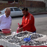 Samsunspor'un Başarısı İle Hamsi Fiyatları Düşerken, Balıklar Kısa Sürede Tükendi 3 samsunsporun basarisini 75 kasa hamsiyi kilosunu 25 tlden satarak kutladi 087e97f026b3