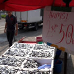 Samsunspor'un Başarısı İle Hamsi Fiyatları Düşerken, Balıklar Kısa Sürede Tükendi 1 samsunsporun basarisini 75 kasa hamsiyi kilosunu 25 tlden satarak kutladi 0e0f3491cb6e