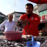 Samsunspor'un Başarısı İle Hamsi Fiyatları Düşerken, Balıklar Kısa Sürede Tükendi 6 samsunsporun basarisini 75 kasa hamsiyi kilosunu 25 tlden satarak kutladi 206f07739222