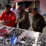 Samsunspor'un Başarısı İle Hamsi Fiyatları Düşerken, Balıklar Kısa Sürede Tükendi 4 samsunsporun basarisini 75 kasa hamsiyi kilosunu 25 tlden satarak kutladi b9061c0ef2b8