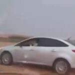 sanliurfada silah ve muhimmat ele gecirildi 2 gozalti 92232edf1bcd