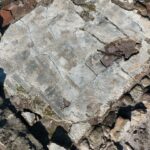 Sapanca Gölü'nde Düşen Su Seviyeleri, Tarihi Yapıyı Gün Yüzüne Çıkardı 1 sapanca golunde sular cekilince tarihi yapi daha gorunur oldu 5ebe2129c396