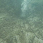 sapanca golundeki kabarciklar endiseye yol acti uzmani nedenini acikladi 2 0fd0b60ca65d