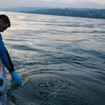 sapanca golundeki kabarciklar endiseye yol acti uzmani nedenini acikladi 2 569640abcdba