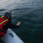 sapanca golundeki kabarciklar endiseye yol acti uzmani nedenini acikladi 2 ec0d4d9ea4f3