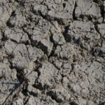 Adana'da Kuraklık Nedeniyle Su Altında Kalan Tarihi Köprü Ortaya Çıktı 7 seyhan baraj golunde sular cekilince eski kopru gun yuzune cikti 9488f21fbed3