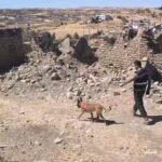 siirtte kaybolan alzheimer hastasi 74 gun sonra olu bulundu 917ae481f8b4