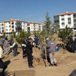 sincanda 244 fidan toprakla bulustu 0207a95ca1e6