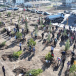 sincanda 244 fidan toprakla bulustu 37d4954d63f7