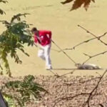 Edirne'de Sokak Köpeğini Sürükleyen Belediye Çalışanı Adli Kontrol Şartıyla Serbest Bırakıldı 1 sokak kopegini iple surukleyen belediye personeli adli kontrolle serbest dba70cad811a